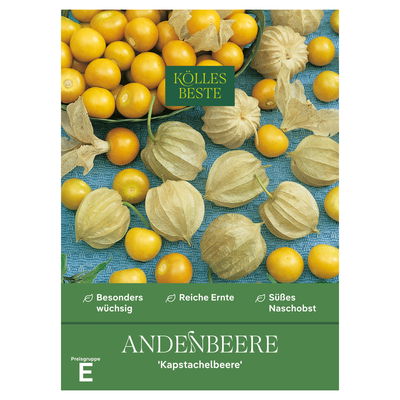 Kölles Beste Gemüsesamen, Andenbeere 'Kapstachelbeere'