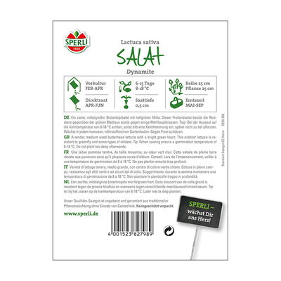 Gemüsesamen, Kopfsalat 'Dynamite'