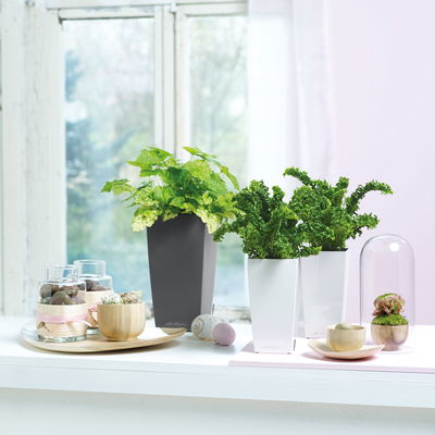 Lechuza 'Maxi-Cubi', anthrazit, ca. 14 x 14 x H 26 cm