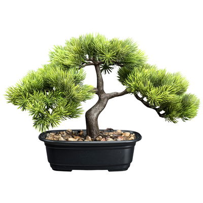 Künstlicher Bonsai Kiefer, Höhe ca. 30 cm Künstlicher Bonsai Kiefer, Höhe ca. 30 cm