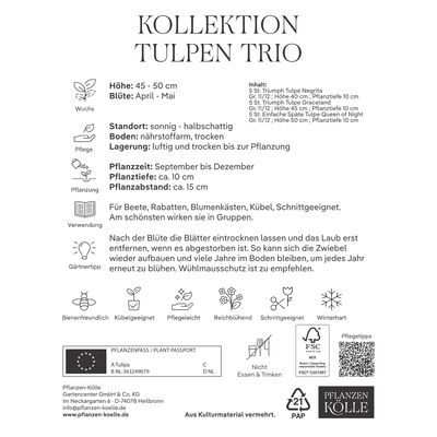 Tulpenmischung 'Trio' aus Negrita, Queen of Night & Shirley, 15 Blumenzwiebeln Tulpenmischung 'Trio' aus Negrita, Queen of Night & Shirley, 15 Blumenzwiebeln