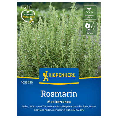 Kiepenkerl Saatgut Rosmarin 'Mediterranea' Kiepenkerl Saatgut Rosmarin 'Mediterranea'
