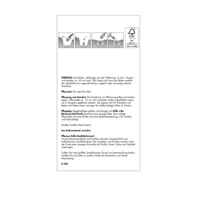 Jakobslilie (Sprekelia Formosissima) rot, 1 Blumenzwiebel