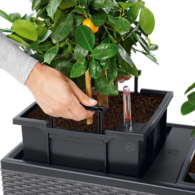 Lechuza 'Trio Cottage 40', lichtgrau, ca. 129,5 x 42 x H 44 cm