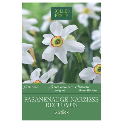 Fasanenauge Narzissen weiß, 5 Blumenzwiebeln Fasanenauge Narzissen weiß, 5 Blumenzwiebeln