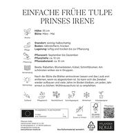 Einfache frühe Tulpen Prinses Irene, orange/rot geflammt, 7 Blumenzwiebeln