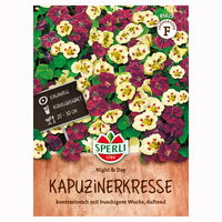 Blumensamen, Kapuzinerkresse 'Night & Day', rot, weiß