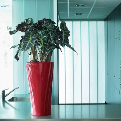 Lechuza 'Delta 40', scarlet-rot, ca. 39 x H 75,5 cm