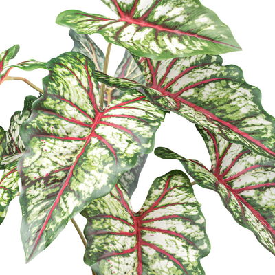 Kunstpflanze Syngonium, Höhe ca. 66 cm