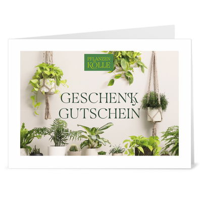 Gutschein zum Ausdrucken 'Grünpflanze' Gutschein zum Ausdrucken 'Grünpflanze'