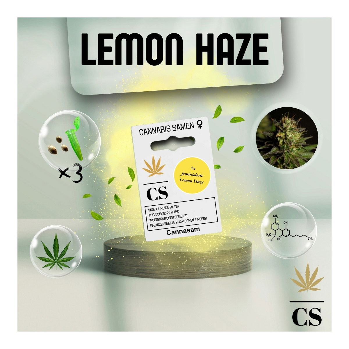 Cannabis Saatgut Hanf 'Special Lemon Haze'