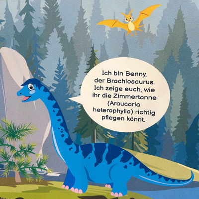 Dino Snack®, Benny, Zimmertanne, Topf-Ø 14 cm, mit Brotdose Dino Snack®, Benny, Zimmertanne, Topf-Ø 14 cm, mit Brotdose