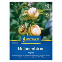Saatgut Melonenbirne 'Pepino'