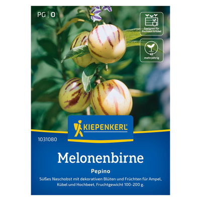 Saatgut Melonenbirne 'Pepino' Saatgut Melonenbirne 'Pepino'