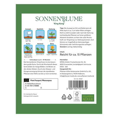 Blumensamen, Sonnenblume 'King Kong'