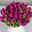 Blumenbund mit Tulpen, 30er-Bund, lila, inkl. gratis Grußkarte