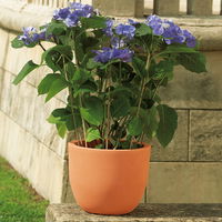 Euro 3 Plast Pflanzkübel Etria terra, Ø 64 cm, Erdvol. 86 l