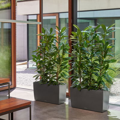 Lechuza 'Cararo', anthrazit, ca. 75 x 30 x H 43 cm