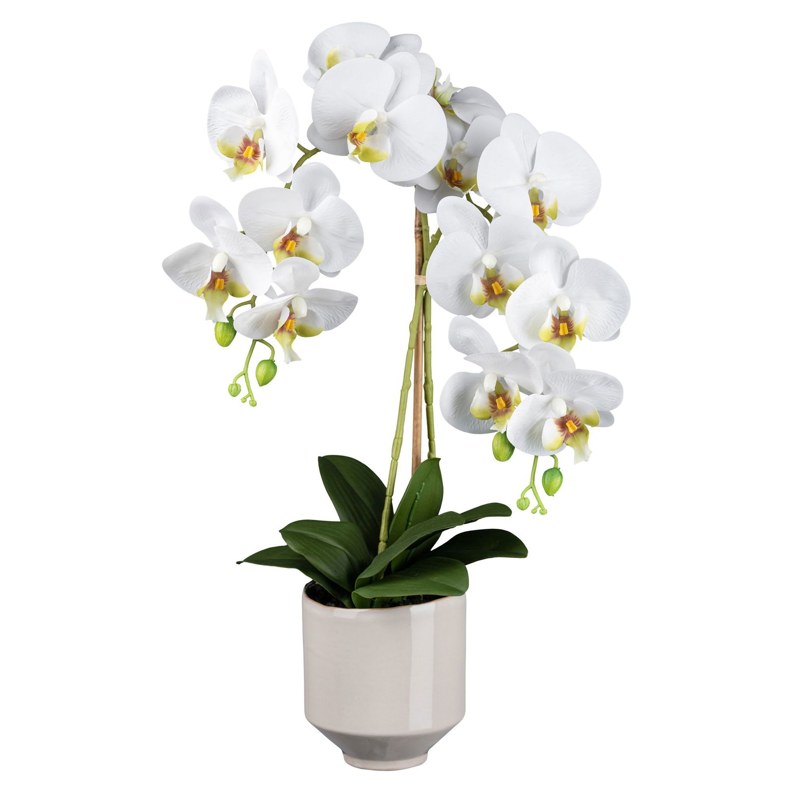 Kunstpflanze Phalaenopsis im Topf, Höhe ca. 60 cm