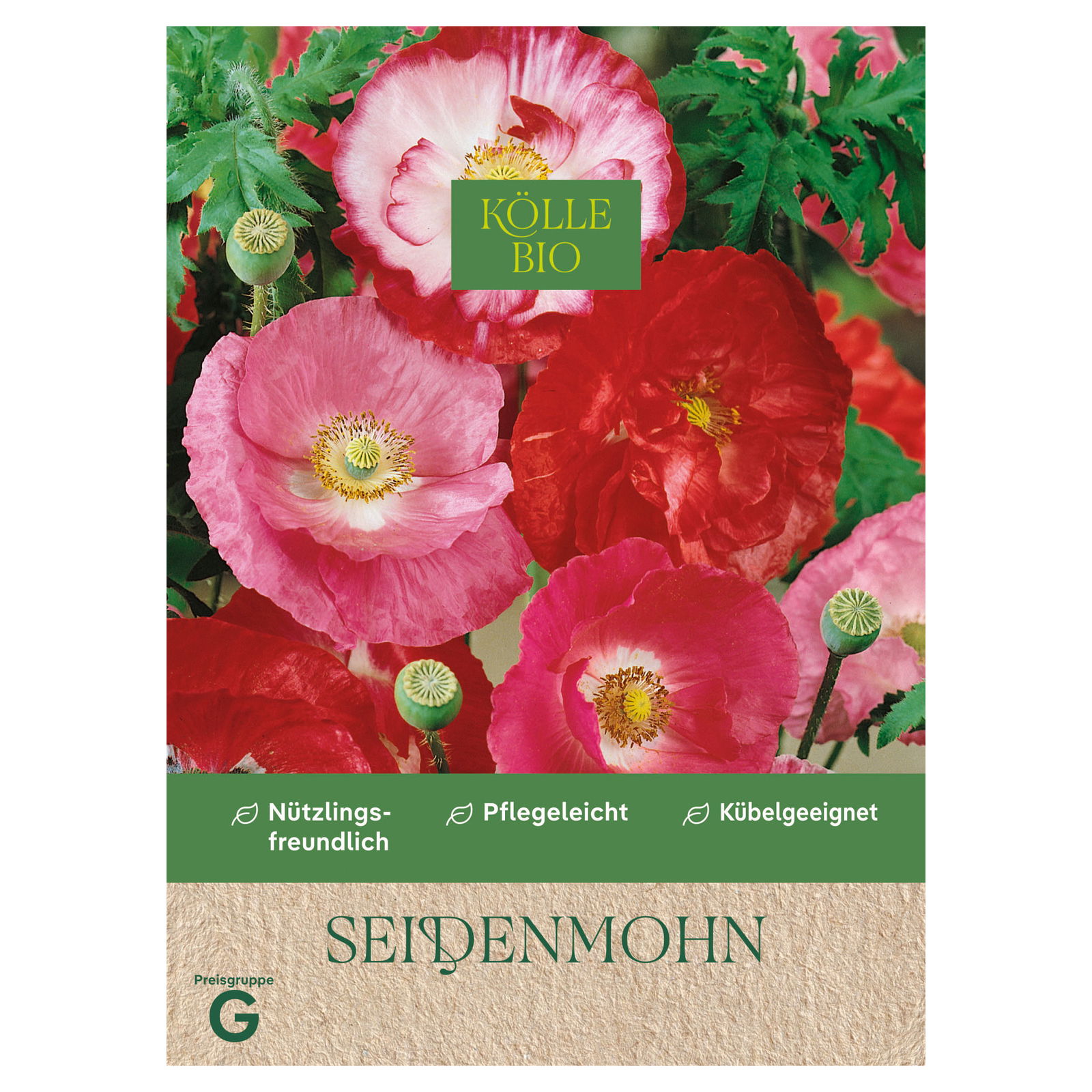 Kölle Bio Saatgut Seidenmohn 'Olympiafeuer', Papaver, rot