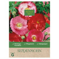 Kölle Bio Saatgut Seidenmohn 'Olympiafeuer', Papaver, rot