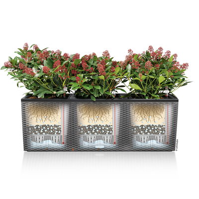 Lechuza 'Trio Cottage 40', mokka, ca. 130 x 42 x H 44 cm