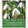 XXL Schneeglöckchen (Galanthus Elwesii) weiß, 10 Blumenzwiebeln XXL Schneeglöckchen (Galanthus Elwesii) weiß, 10 Blumenzwiebeln