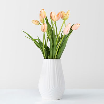 10 apricotfarbene Tulpen 10 apricotfarbene Tulpen