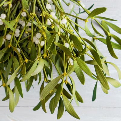 Misteln Handbund, natur, 5 Bund