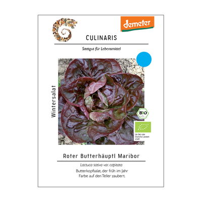 Saatgut, Kopfsalat, Wintersalat 'Rote Butterhäuptl Maribor' Saatgut, Kopfsalat, Wintersalat 'Rote Butterhäuptl Maribor'