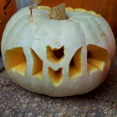 Speisekürbis Halloween weiß Speisekürbis Halloween weiß
