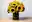 Sonnenblumen als Schnittblumen