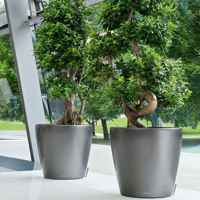 Lechuza 'Classico 60', anthrazit, ca. Ø 60 x H 55,5 cm