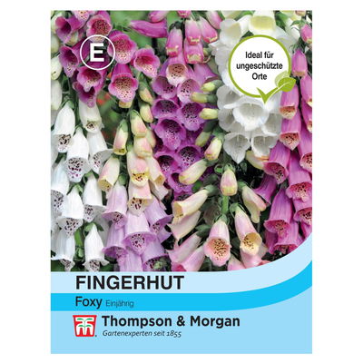 Blumensamen, Fingerhut 'Foxy', rosa, 100 Stück