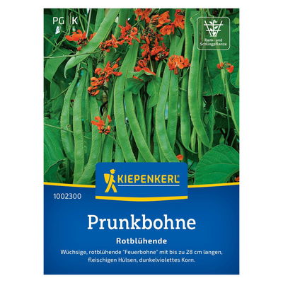 Gemüsesamen, Prunkbohnen 'Rotblühende'