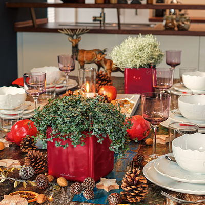 Lechuza 'Cube Glossy 14', scarlet-rot, ca. 14 x 14 x H 13,5 cm