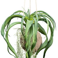 Künstliche Tillandsia xerographica, Höhe ca. 63 cm