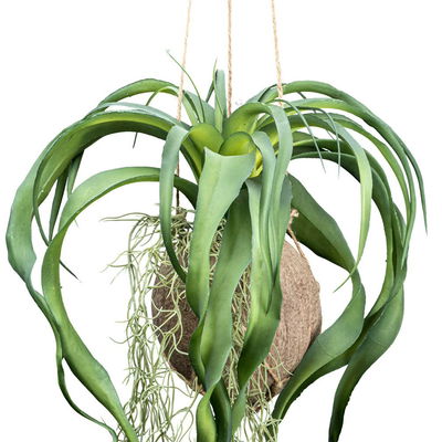 Künstliche Tillandsia xerographica, Höhe ca. 63 cm Künstliche Tillandsia xerographica, Höhe ca. 63 cm