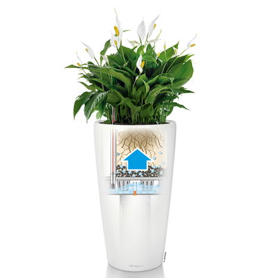 Lechuza 'Rondo 32', schwarz, ca. Ø 33 x H 56 cm