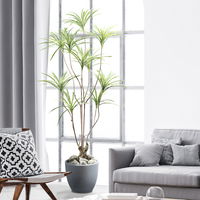 Kunstpflanze Dracaena, Höhe ca. 180 cm