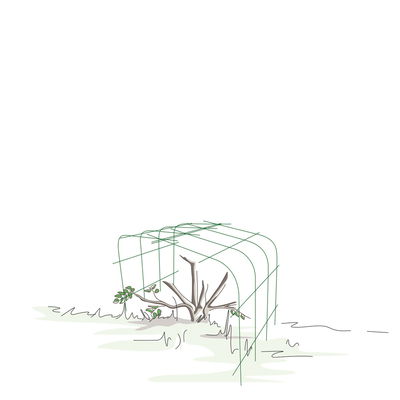 Bellissa Hortensienstütze 'ANNABELLE', 2er-Set, grün, H60 x L65 x L57 cm Bellissa Hortensienstütze 'ANNABELLE', 2er-Set, grün, H60 x L65 x L57 cm