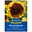 Blumensamen, Sonnenblume 'Pro Cut Bicolor', gelb