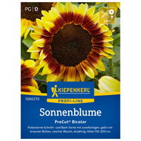 Blumensamen, Sonnenblume 'Pro Cut Bicolor', gelb