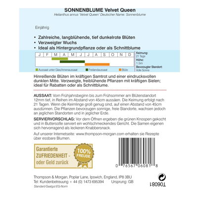 Thompson & Morgan Blumensamen Sonnenblumen Velvet Queen Thompson & Morgan Blumensamen Sonnenblumen Velvet Queen