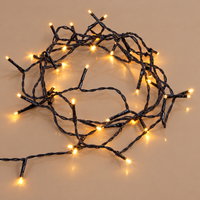 Kölle LED Lichterkette Rice Lights, klassisch warm, 40 LEDs, Länge ca. 3 m