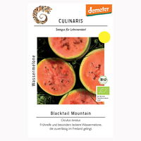 Wassermelone 'Blacktail Mountain', Demeter, rosa, 12 Samen