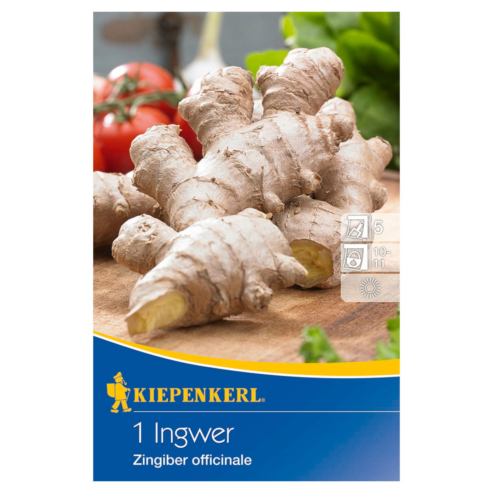 Kiepenkerl Ingwer