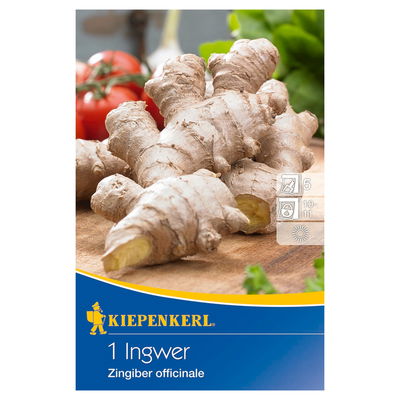 Kiepenkerl Ingwer Kiepenkerl Ingwer