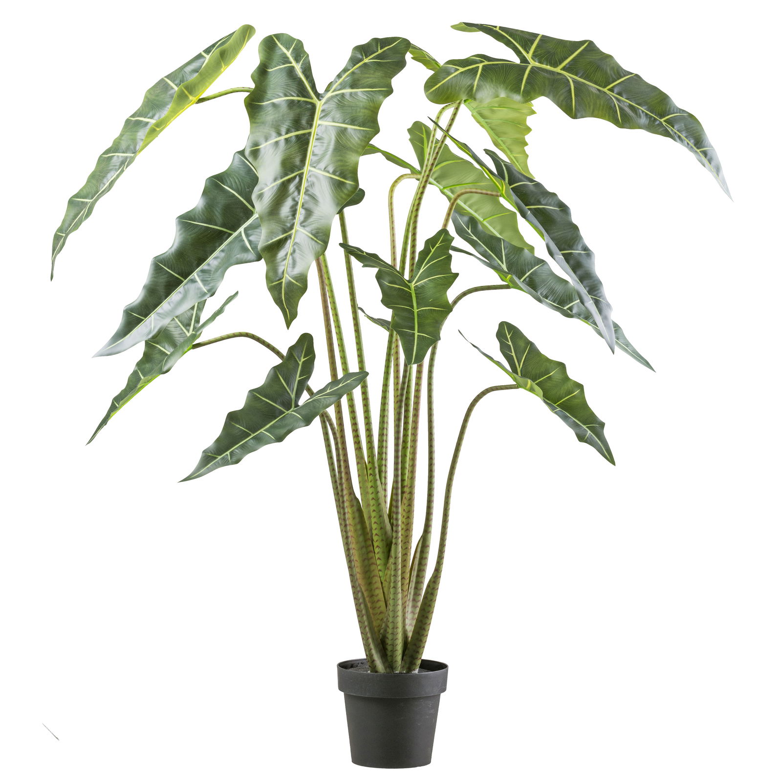 Künstliche Alocasia zebrina 'Sarian', Höhe ca. 160 cm