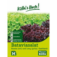 Kölle's Beste Batavia-Salat Mix Saatband